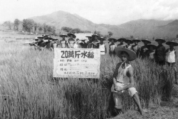 毛泽东〝大跃进〞时期,全国各地出现了五花八门的大卫星、大牛皮。〝人有多大胆、地有多大产〞就是这时的产物。各地放出亩产万斤的大卫星。(资料图片)