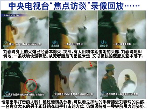伪火十八年 造假害中国(图文)