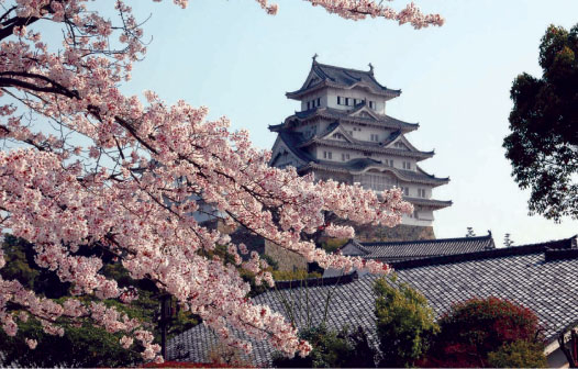 日本大阪城公园一景(洪一夫/大纪元)