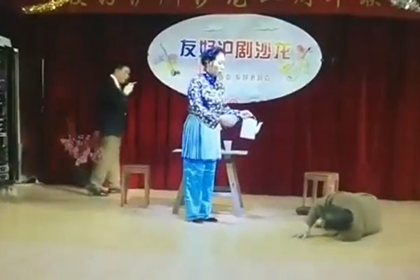 2019年1月9日上海老知青举办样板戏《沙家浜》演出,“胡传魁”突发脑梗倒地。(视频截图)