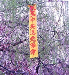 海外女博士访谈:父母退党带动全家族“三退”(图文)