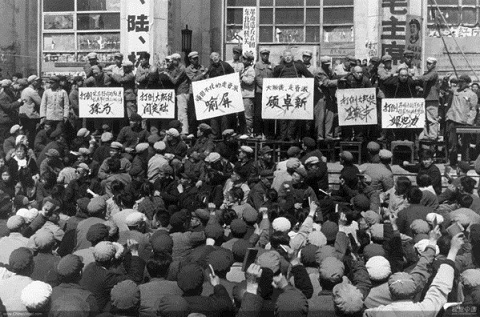 专访移民洛杉矶大陆女子:被文革毁掉的一生