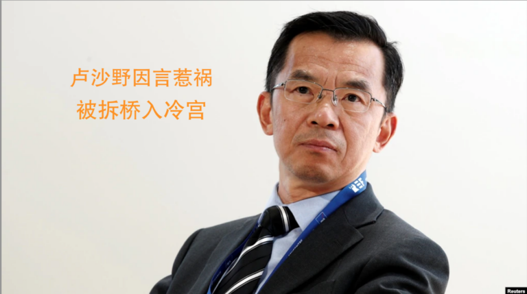 中共“外交战狼”驻法国大使卢沙野,卢沙野“战狼式发言”惹怒欧洲。(网络图片)