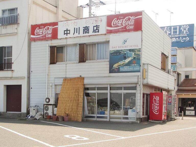 中国自疫情起零售业接连遭打击,大量实体店为避免更大损失选择关停、闭店,其中不乏许多老牌名店。(网络图片)