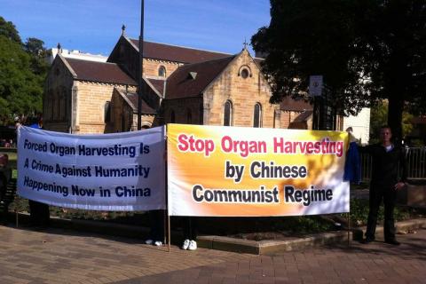 20130611-12_7.jpg