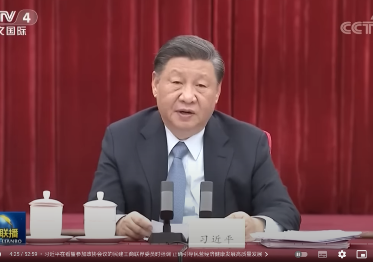 习近平。(视频截图)
