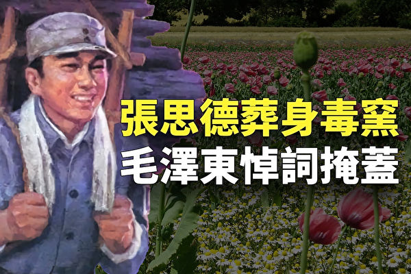 明白人:“纪念”“烧木炭”而死的张思德(图文)