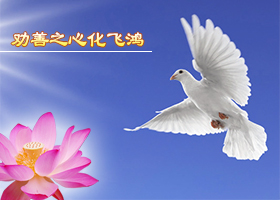 三退奇缘(图文)